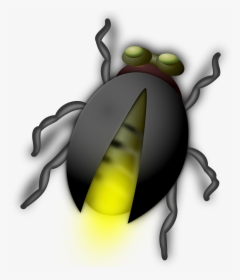 Lightning Bug Buddy Clip Arts - Bug Clip Art, HD Png Download, Free Download