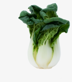Baby Choy Mieu Chinese Vegetable - Romaine Lettuce, HD Png Download, Free Download