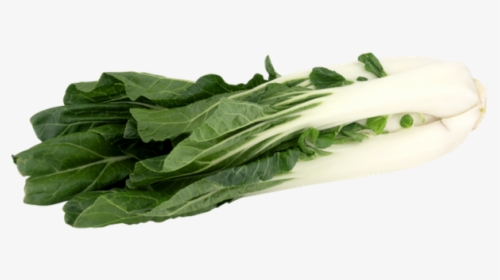 Bok Choy Png, Transparent Png, Free Download