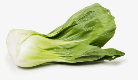 Chinese-cabbage - Shanghai Bok Choy, HD Png Download, Free Download