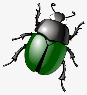 Famous Clipart - Beetle Clipart, HD Png Download, Free Download