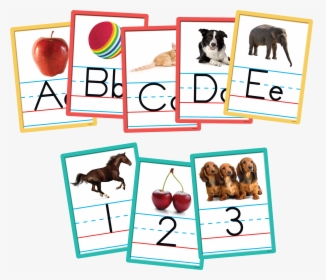 Alphabet And Numbers Accents, HD Png Download, Free Download