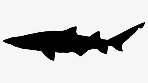 Clip Art, HD Png Download, Free Download