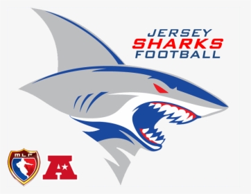 Transparent Png Shark - Transparent Shark Logo Png, Png Download, Free Download