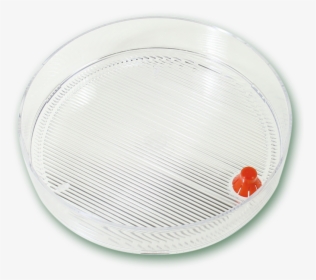 Transparent Tray Png - Circle, Png Download, Free Download