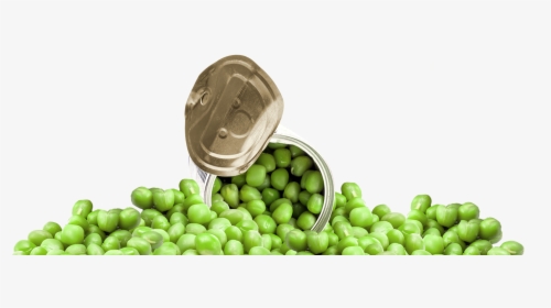 Photo Of Canned Peas - Snap Pea, HD Png Download, Free Download