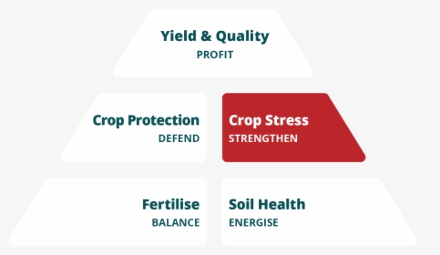 Crop Stress Pyramid - Graphic Design, HD Png Download, Free Download