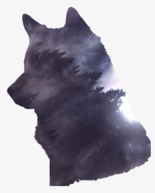 Transparent Wolf Png , Png Download - Wolf Photoshop, Png Download, Free Download