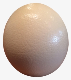 Ostrich Eggs Png Image Black And White Stock - Sphere, Transparent Png, Free Download
