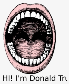 The Mouth Clip Arts - Open Mouth Drawing With Teeth, HD Png Download, Free Download