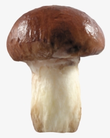 Brown Mushroom Png, Transparent Png, Free Download