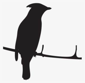 Cedar Waxwing Silhouette, HD Png Download, Free Download
