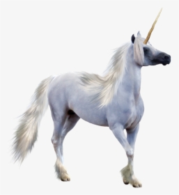 Winged Unicorn Pegasus - Realistic Unicorn Transparent, HD Png Download, Free Download