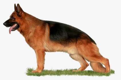 Png Freeuse Library The Home Of Babylonland Kennel - Download Hd Images Of German Shepherd Dog, Transparent Png, Free Download