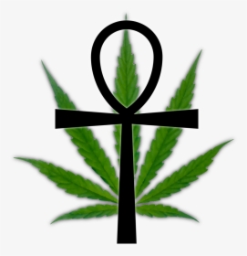 Marijuana Leaf Clipart , Png Download - Help End Marijuana Prohibition Hemp Party, Transparent Png, Free Download