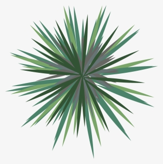 Landscape, Palm Tree, Landscape Plan, Architecture - Agave Azul, HD Png Download, Free Download
