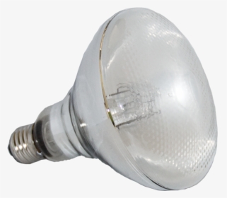 Reptile Lamp Supplier Reptile Uvb Lamp Bright Sun Uv - Incandescent Light Bulb, HD Png Download, Free Download