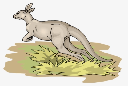 Transparent Cute Kangaroo Clipart - Kangaroo, HD Png Download, Free Download