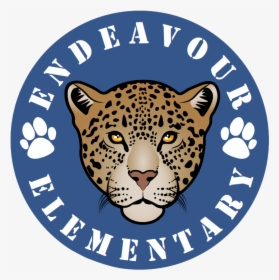 Endeavour Elementary Logo, HD Png Download, Free Download