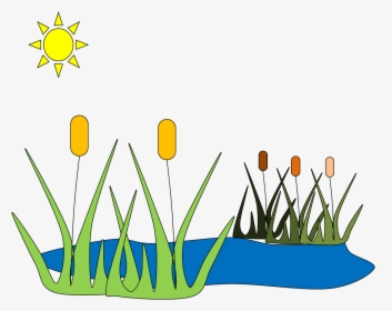 Pond Clipart Wetland - Pond Clip Art, HD Png Download, Free Download