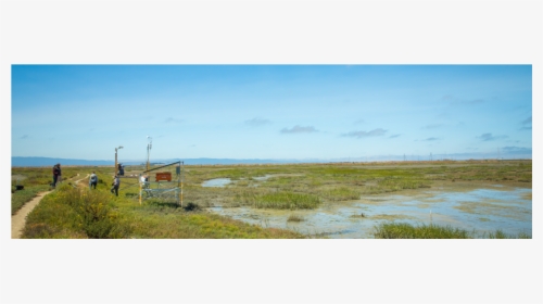 Freshwater Marsh, HD Png Download, Free Download