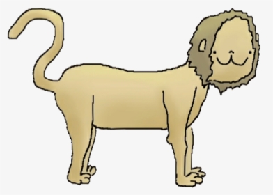 American Wirehair, HD Png Download, Free Download