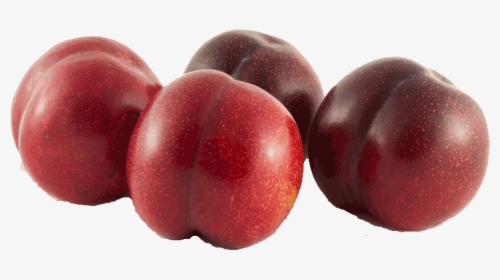 Plum - Plums Transparent, HD Png Download, Free Download
