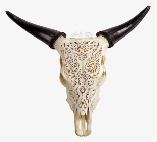 Engraved Cow Skull, HD Png Download, Free Download