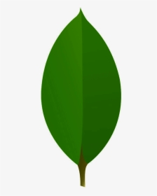 Transparent Mongodb Png - Circle, Png Download, Free Download