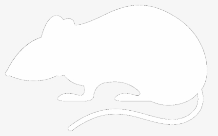 Symbol Rat - Sketch, HD Png Download, Free Download