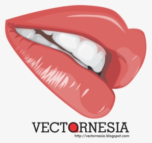 Free Download Vectornesia - Tongue, HD Png Download, Free Download