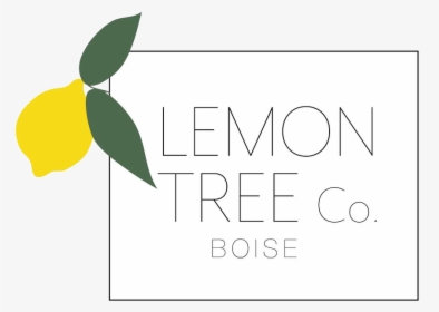 Transparent Lemon Tree Clipart - Graphic Design, HD Png Download, Free Download