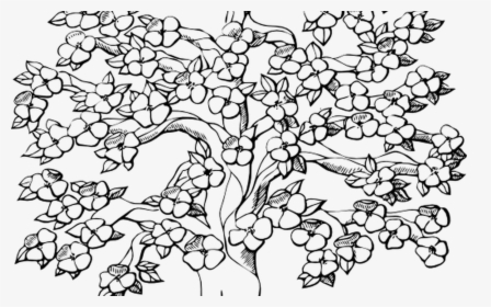 Transparent Cherry Blossom Tree Clipart - Black And White Trees Clipart, HD Png Download, Free Download