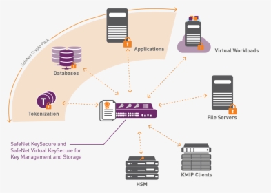 Keysecure With Crypto Pack Use Cases Diagram - Safenet Protect File, HD Png Download, Free Download