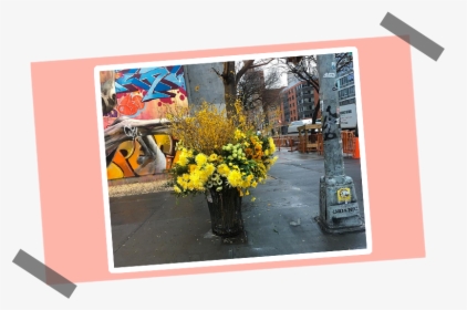 Ny’s Flower Flashes “miller Was Here” - Cesto De Lixo Com Flores, HD Png Download, Free Download