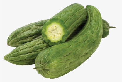 Clip Art Bitter Melon Picture - Cucumber, HD Png Download, Free Download