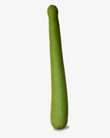 Bottle Gourd - Bamboo, HD Png Download, Free Download