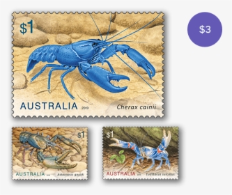 Crayfish Post, HD Png Download, Free Download