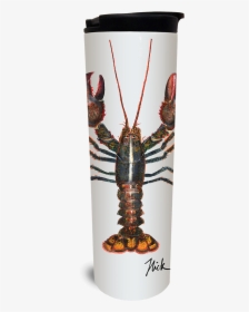 Watermark - American Lobster, HD Png Download, Free Download