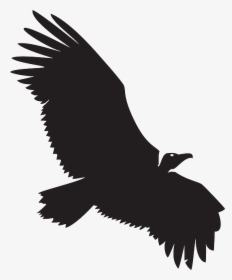 Vulture Vector, HD Png Download, Free Download