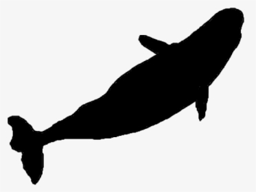 Whale Silhouette - Blue Whale Silhouette Top, HD Png Download, Free Download