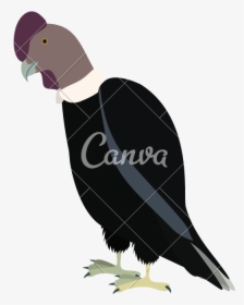 Condor Drawing Icon - Imágenes De Un Cóndor En Animado, HD Png Download, Free Download