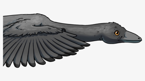 Archaeopteryx Flight, HD Png Download, Free Download