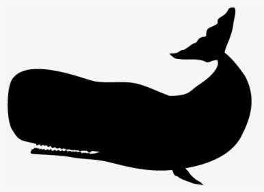 Sperm Whale White Silhouette, HD Png Download, Free Download