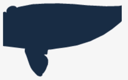 Drawn Right Whale - Whale, HD Png Download, Free Download