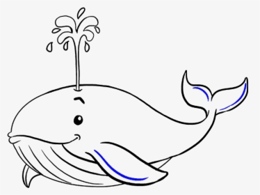 How To Draw Whale - Drawing Of Blue Whale, HD Png Download, Free Download