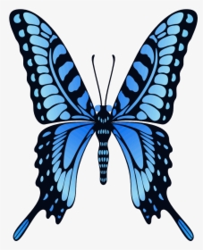 Mp Is Also Not - Butterfly Wing Flap Gif, HD Png Download, Free Download