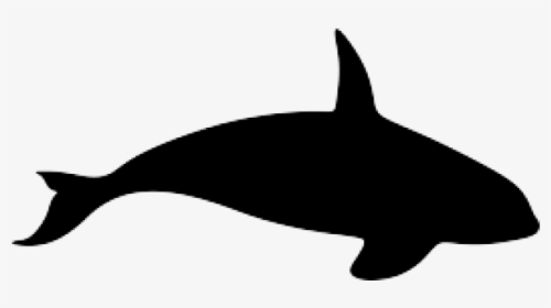 Whale Silhouette - Killer Whale Silhouette, HD Png Download, Free Download