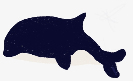 #whale #freetoedit - Fish, HD Png Download, Free Download