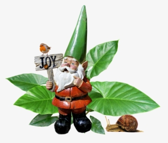 Gnome, Garden, Plant, Statue - Garden Gnome, HD Png Download, Free Download